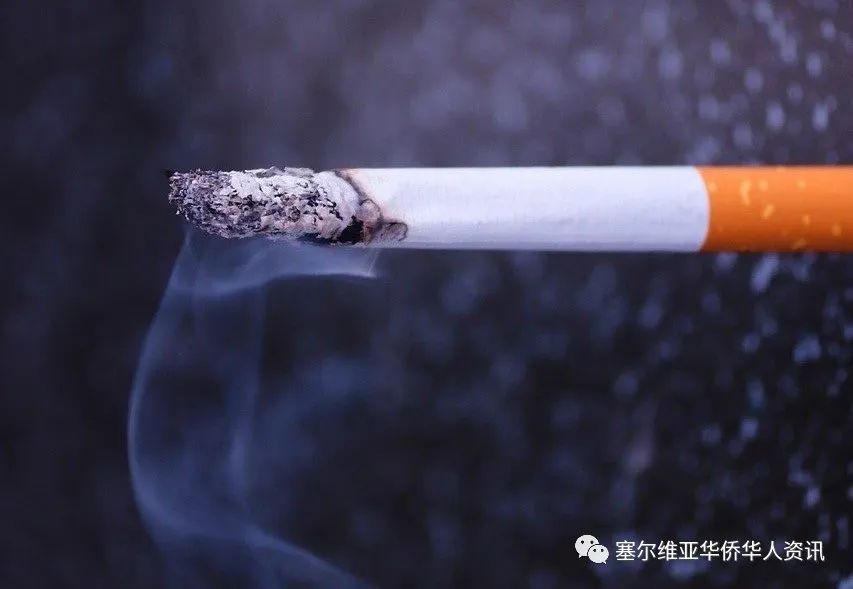 塞尔维亚吸烟率高居全球第二