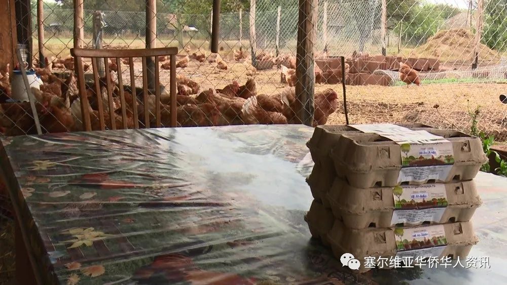 塞尔维亚将成为东南欧第一个拥有生物区的国家