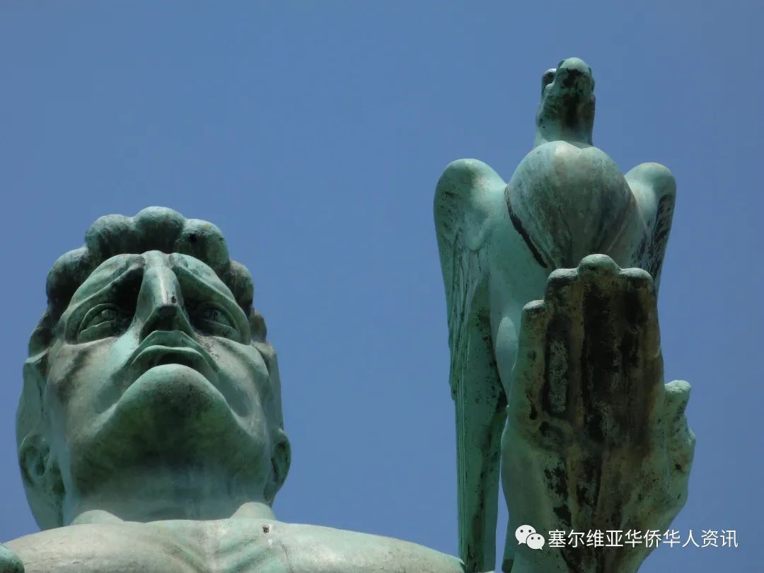 一直困扰贝尔格莱德人民的一个问题：获胜者手中握着什么种类的鸟？