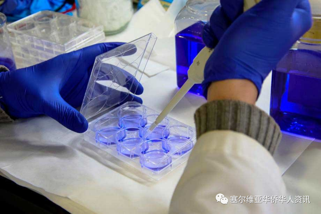 已在4个国家发现大量突变新冠病毒