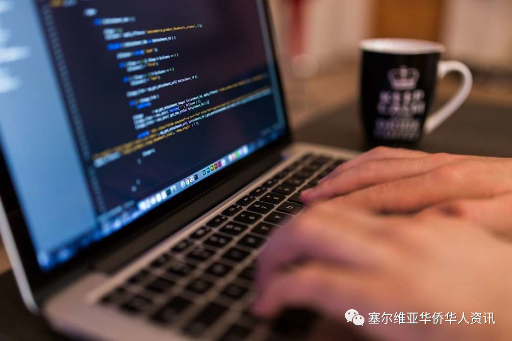在塞尔维亚，贸易和 IT是最受欢迎的职业