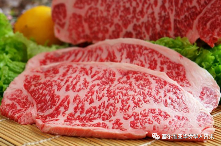塞尔维亚牛肉2022年对华出口额大增且品种更多