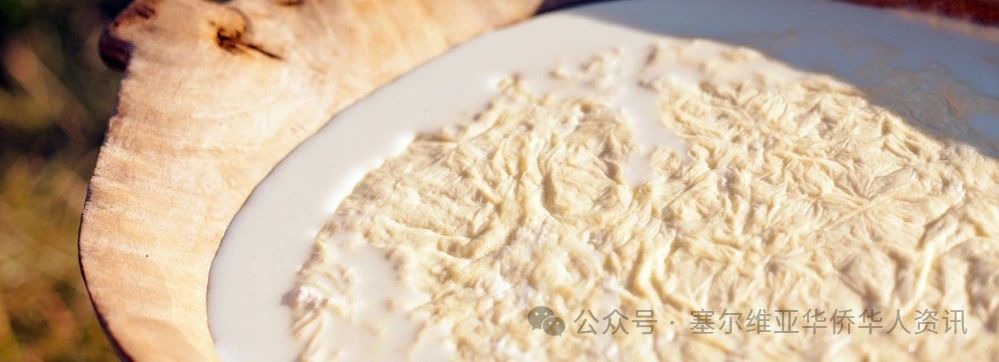 探寻塞尔维亚美食之旅