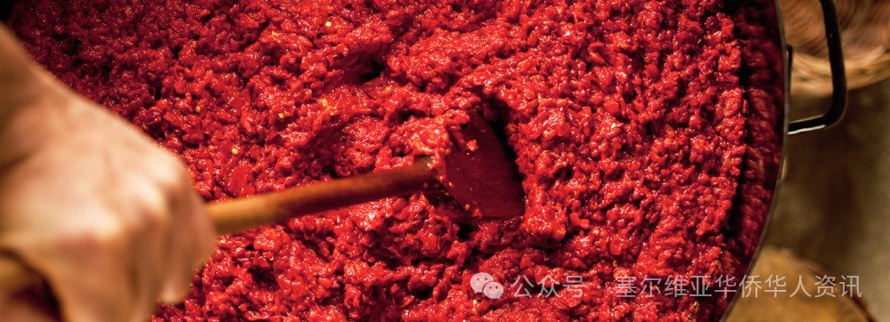 探寻塞尔维亚美食之旅