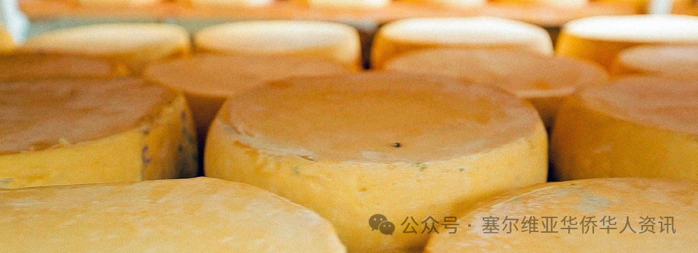 探寻塞尔维亚美食之旅