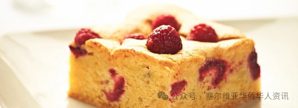 探寻塞尔维亚美食之旅