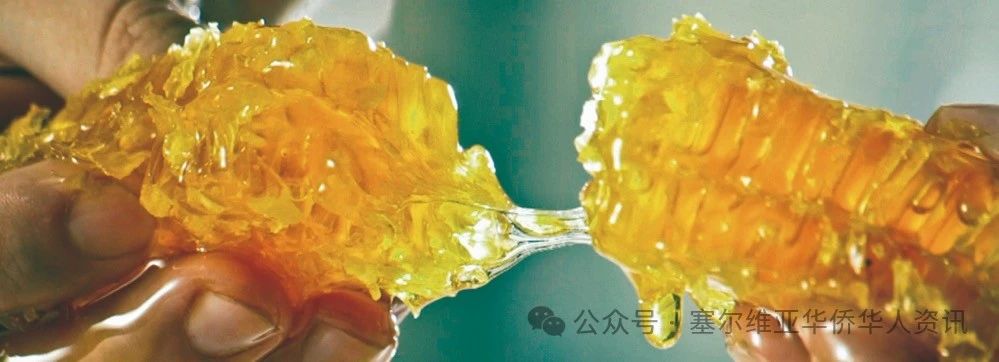 探寻塞尔维亚美食之旅