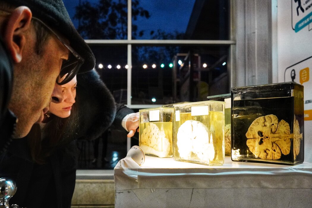 第十七届科学节在贝尔格莱德博览会盛大开幕，探索“思想的演变”