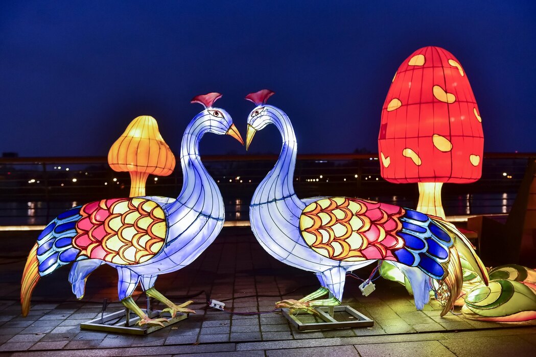 塞尔维亚庆祝中国新年活动将于1月22日至2月9日举行